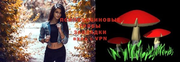 гидра Армянск