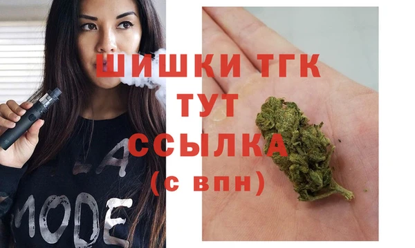 гидра Армянск