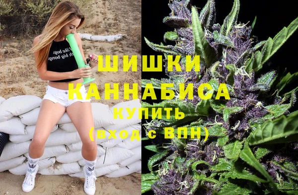 гидра Армянск