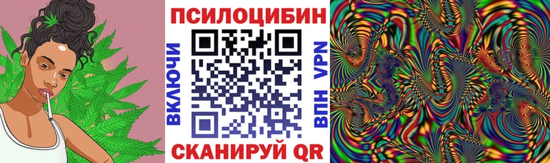 Псилоцибиновые грибы Psilocybe  Спасск 